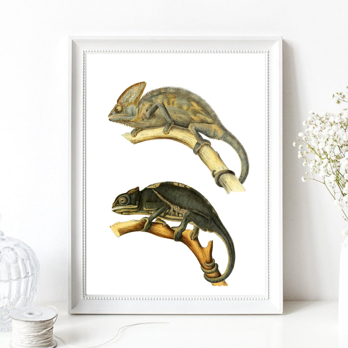 Vintage Chameleon Natural History Engraving Two Lizards Wall Art Print