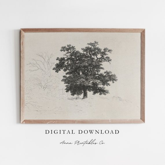 Vintage Tree Etching Print, Rustic Nature Wall Art