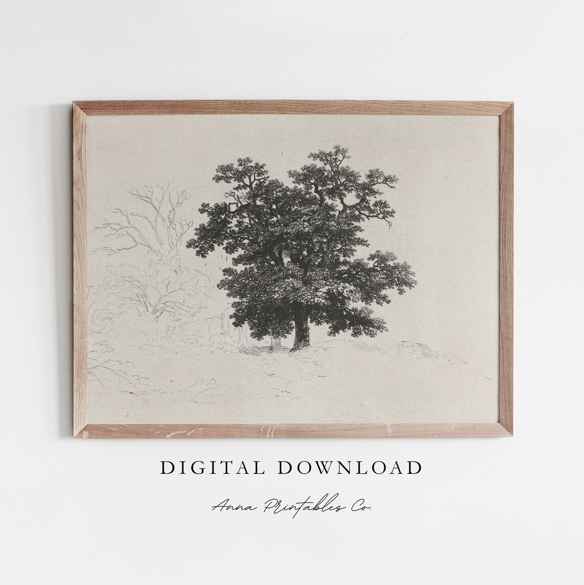Vintage Tree Etching Print, Rustic Nature Wall Art