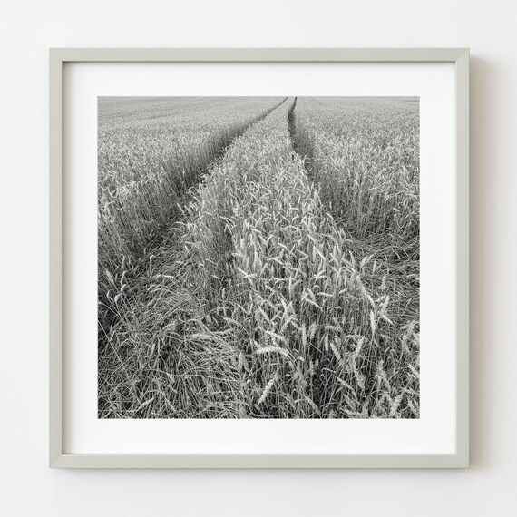 Wheat Field Tractor Tracks Black and White Minimalist Landscape Photo Print