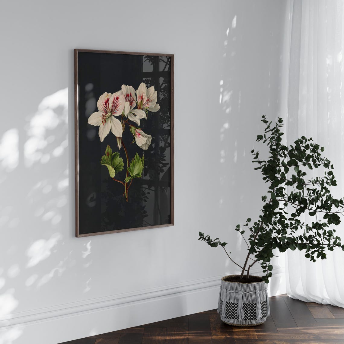 White Geranium Botanical Dark Background Floral Still Life Poster - Image 7