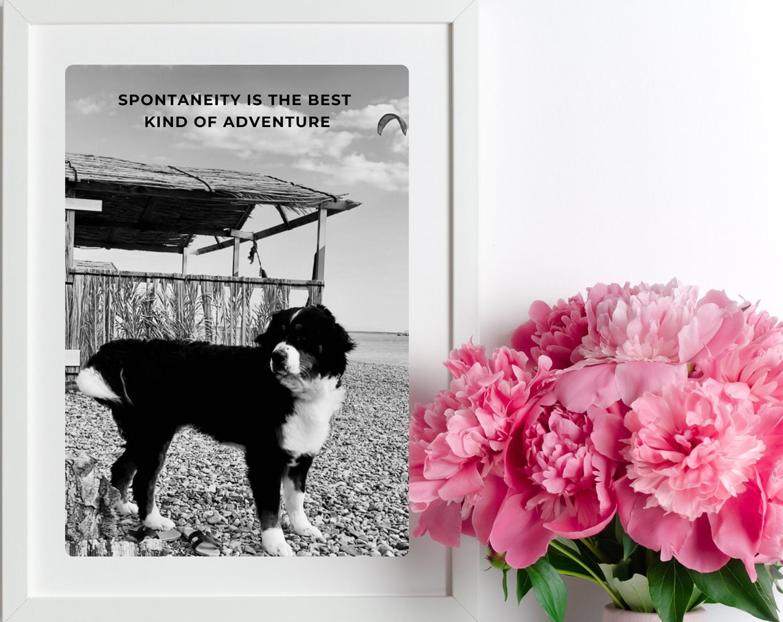 Inspirational Travel Quote Print Beach Dog Photo Wall Sassy Dog Gift Love Pet Love Gift Idea Travel Quote Photo Gift Sassy Strays - Image 3