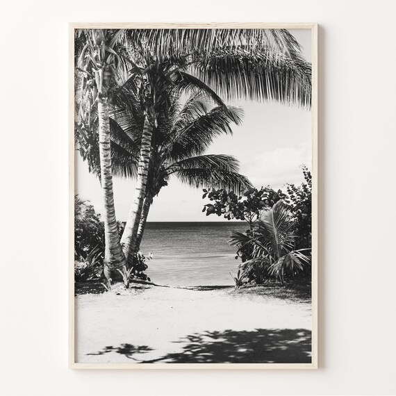 Rincon Puerto Rico Beach Palms Caribbean Sea Black And White Poster