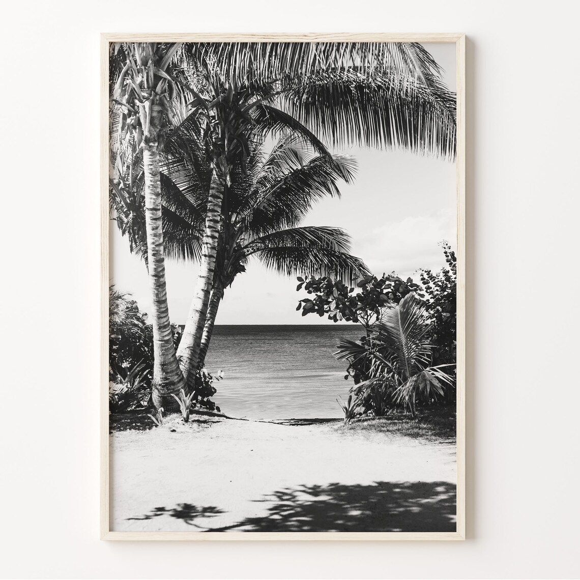 Rincon Puerto Rico Beach Palms Caribbean Sea Black And White Poster