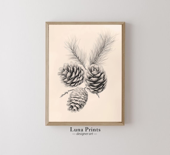 Pinecones and Pine Sprigs Detailed Pencil Sketch Drawing Wall Art