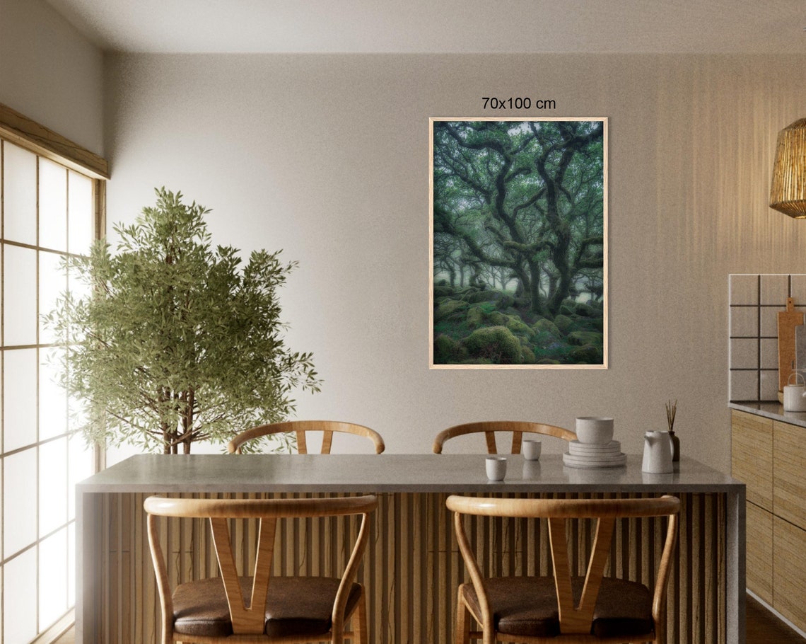 Ancient Twisted Oak Trees With Moss Over Boulders In Mist Poster - Image 3