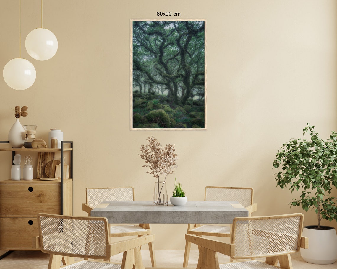 Ancient Twisted Oak Trees With Moss Over Boulders In Mist Poster - Image 2