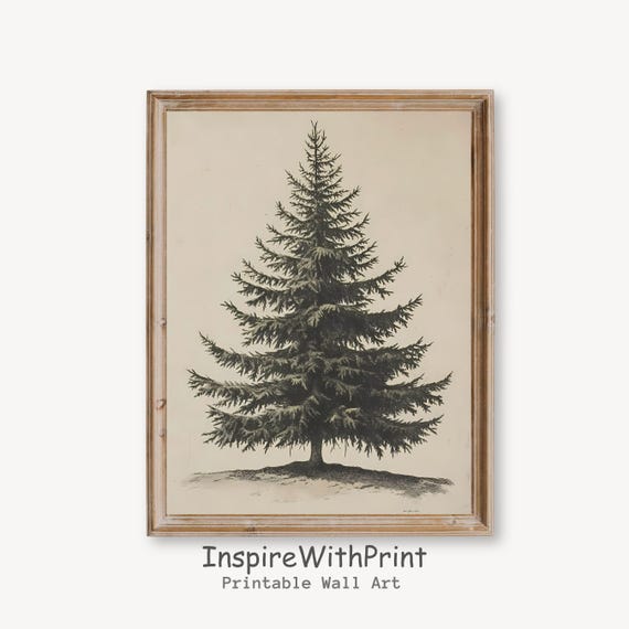 Vintage Pine Tree Print Winter Wall Art Christmas Fir Painting Moody Decor