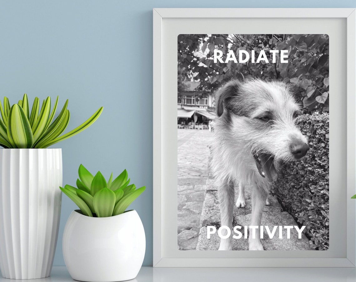 Radiate Positivity Dog Smiling Wall Art Sassy Dog Gift Love Cute Dog Photo Wall Animal Photo Gift Dog Mom Love Positive Quote Wall - Image 2