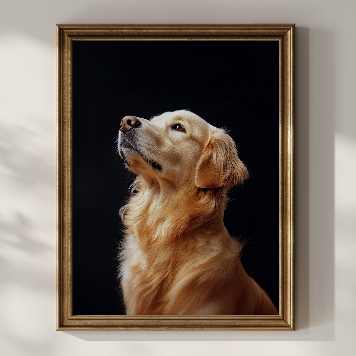 Golden Retriever Dog Portrait Against a Black Background Poster - Image 3