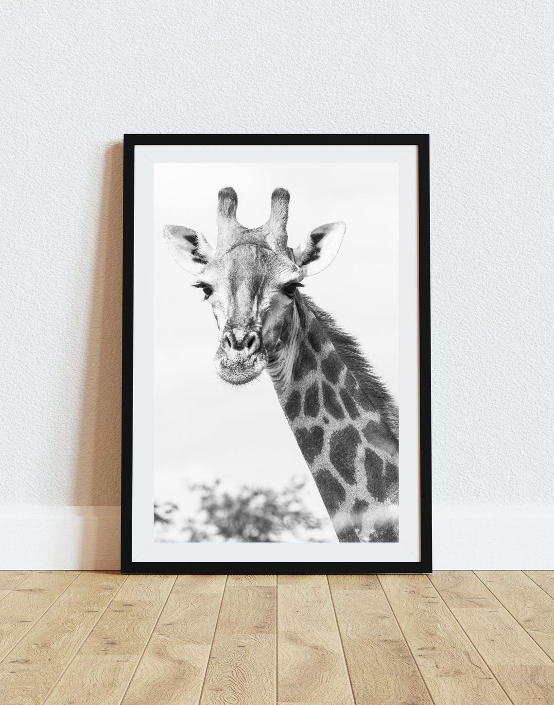 Giraffe Portrait Black And White Safari Wildlife Photography Poster