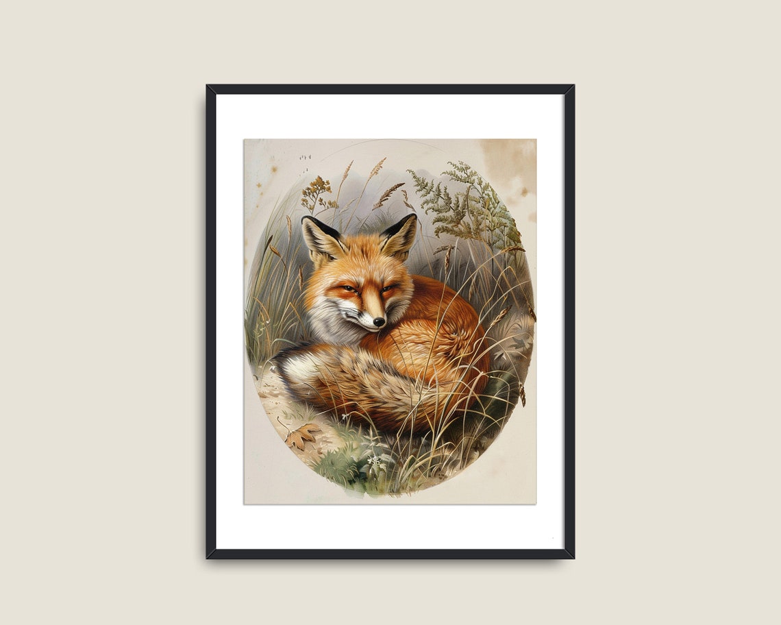 Red Fox Curled In Tall Wild Grass Vintage Wildlife Nature Print - Image 2