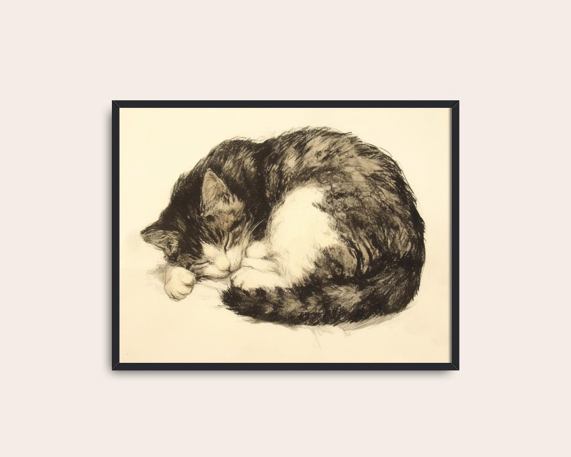 Sleeping Tabby Cat Curled Vintage Charcoal Sketch Wall Art Poster - Image 3