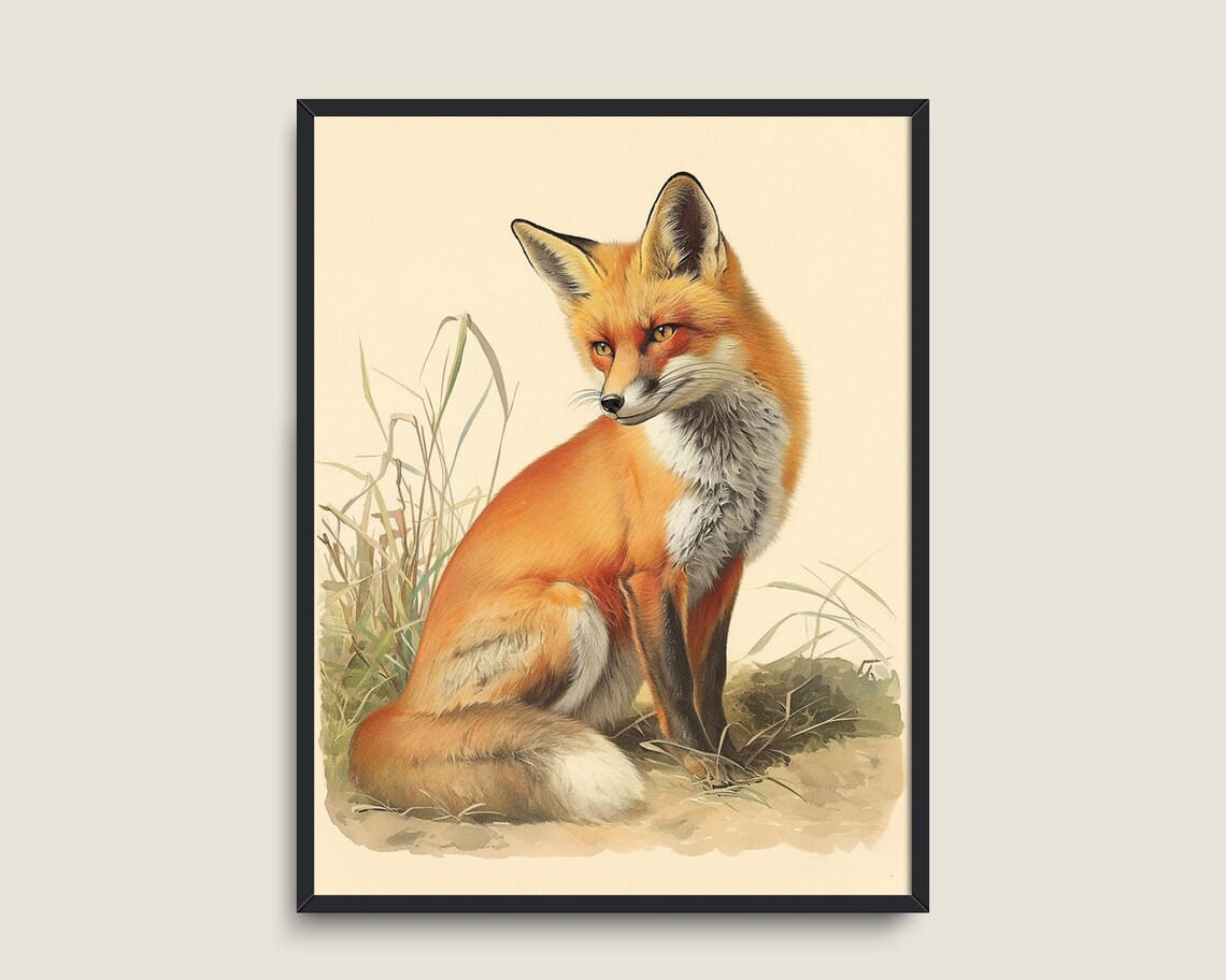 Red Fox Sitting Profile Light Cream Vintage Naturalist Wildlife Art Poster - Image 3