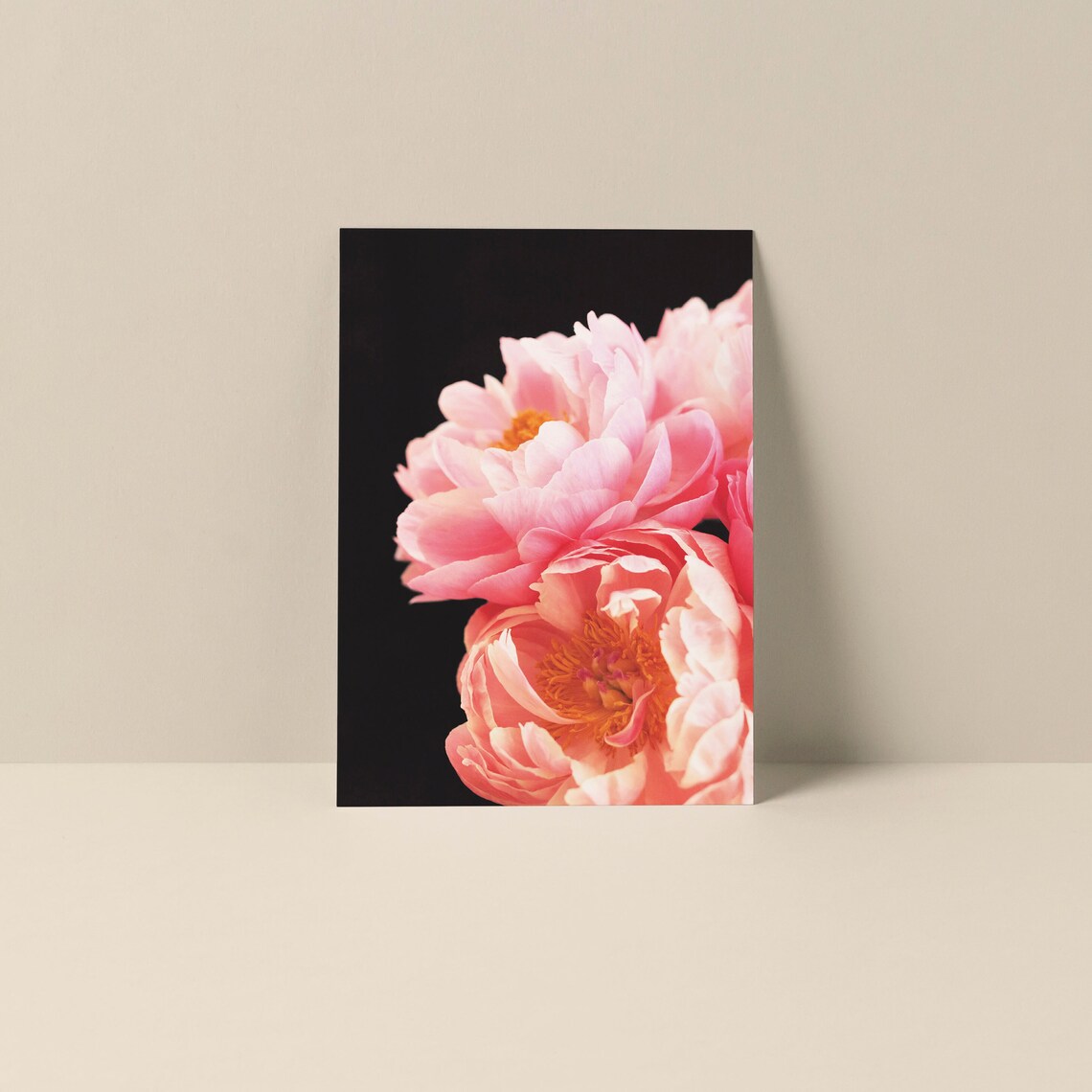 Peony Flower Note Card, Botanical Art Print