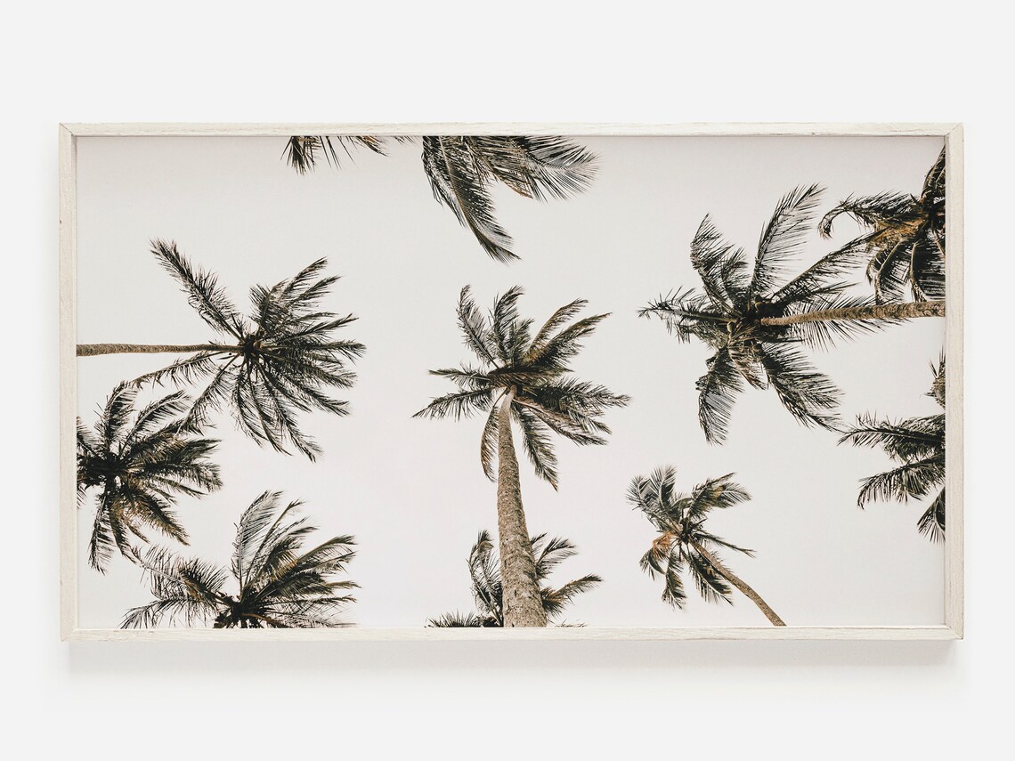Samsung Frame Tv Art Palm Tree For Tropical Landscape Photo