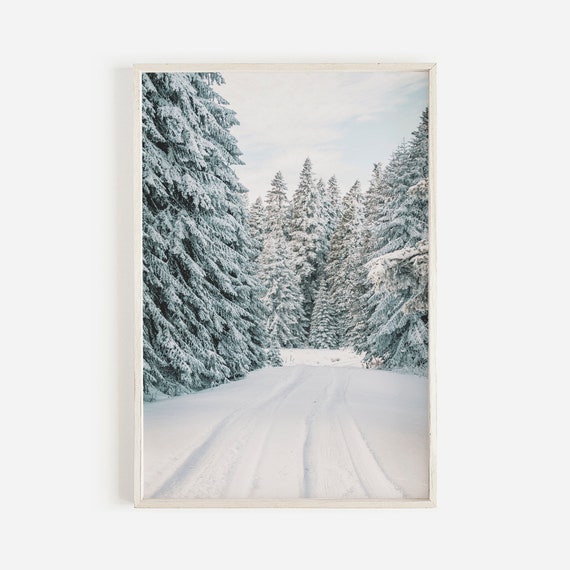 Snowy Forest Wall Art Winter Pine Decor Rustic Print Snow Covered Photo Lodge