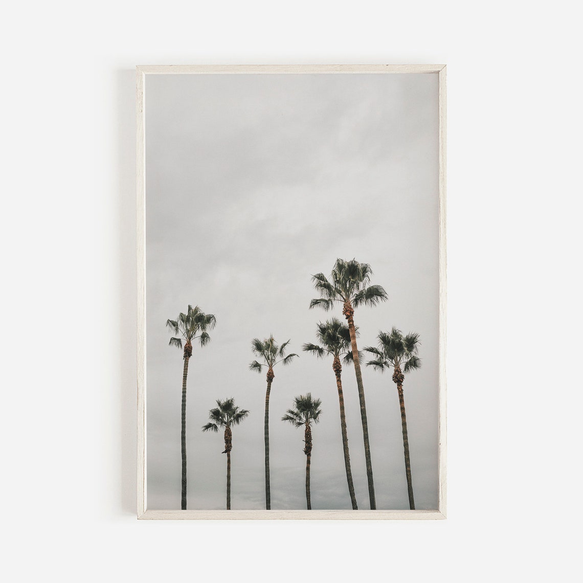 Moody Palm Trees Coastal Wall Art Print