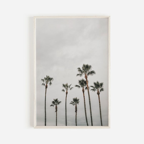 Moody Palm Trees Coastal Wall Art Print