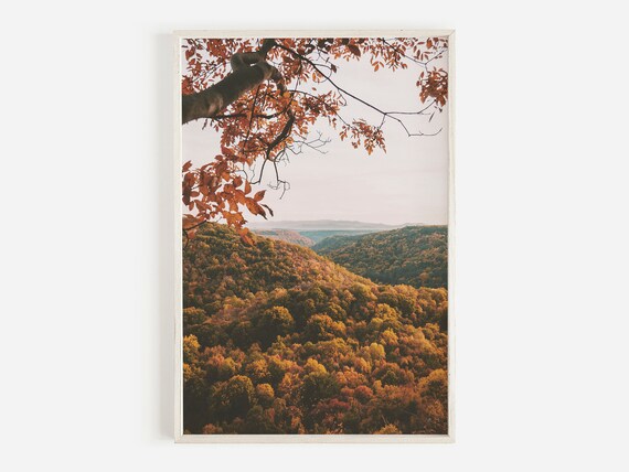Fall Foliage Mountain Overlook Above a Golden Forest Valley Poster