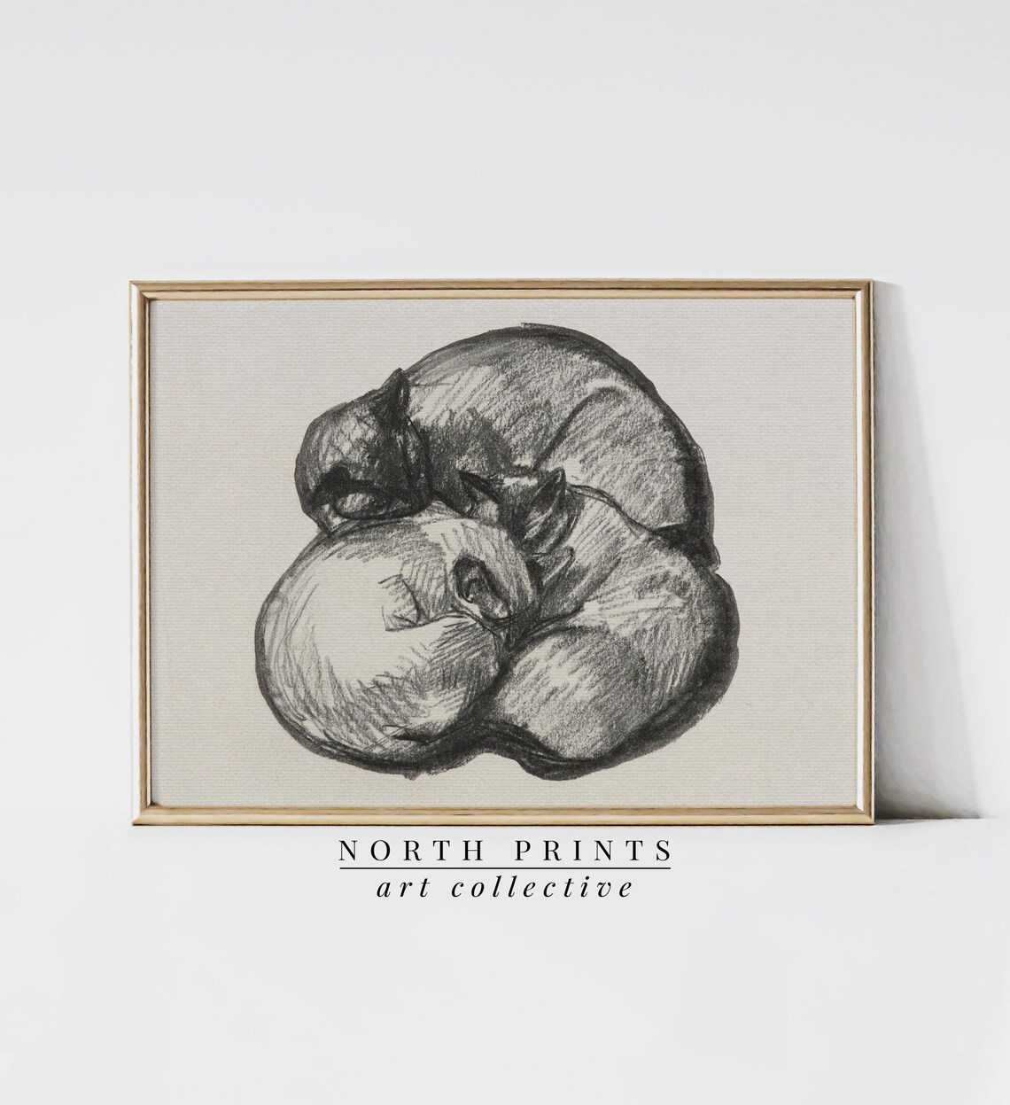 Sleeping Cat Charcoal Sketch Vintage Curled Feline Drawing Neutral Wall Print - Image 2