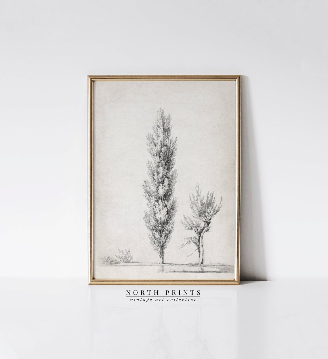 Minimalist Antique Tree Sketch, Neutral Landscape Art Print