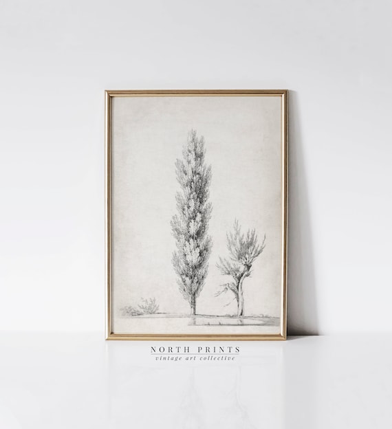 Minimalist Antique Tree Sketch, Neutral Landscape Art Print