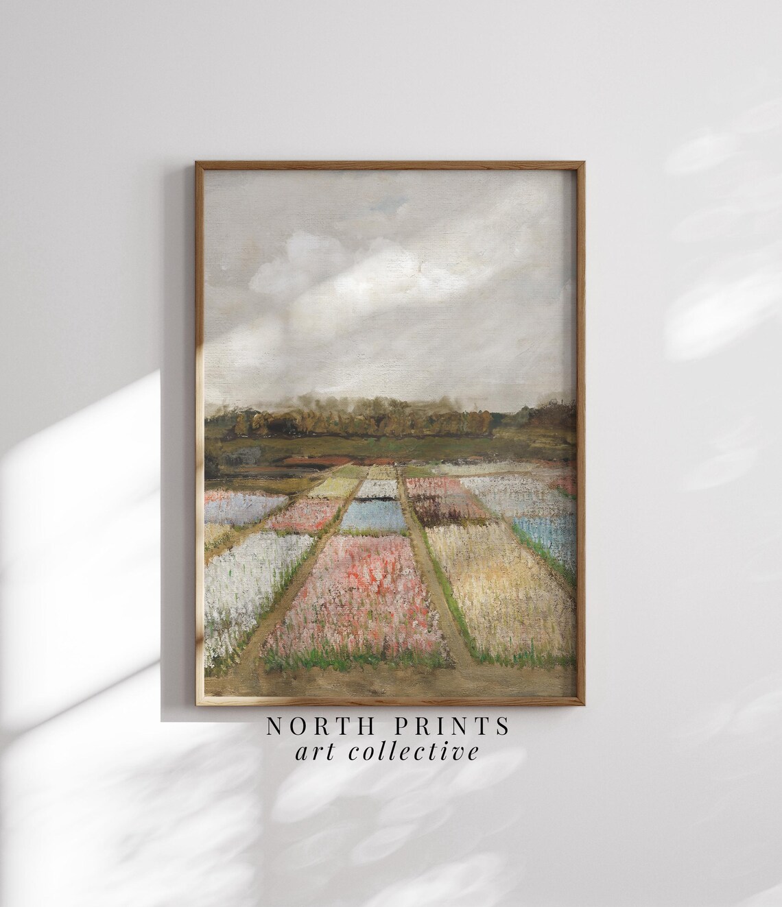 Amsterdam Tulip Fields Spring Landscape Poster