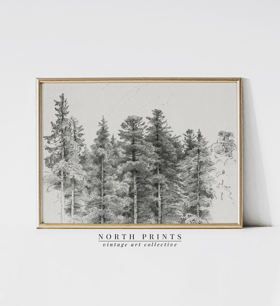 Antique Pine Tree Forest Sketch, Neutral Winter Sketch - Image 4