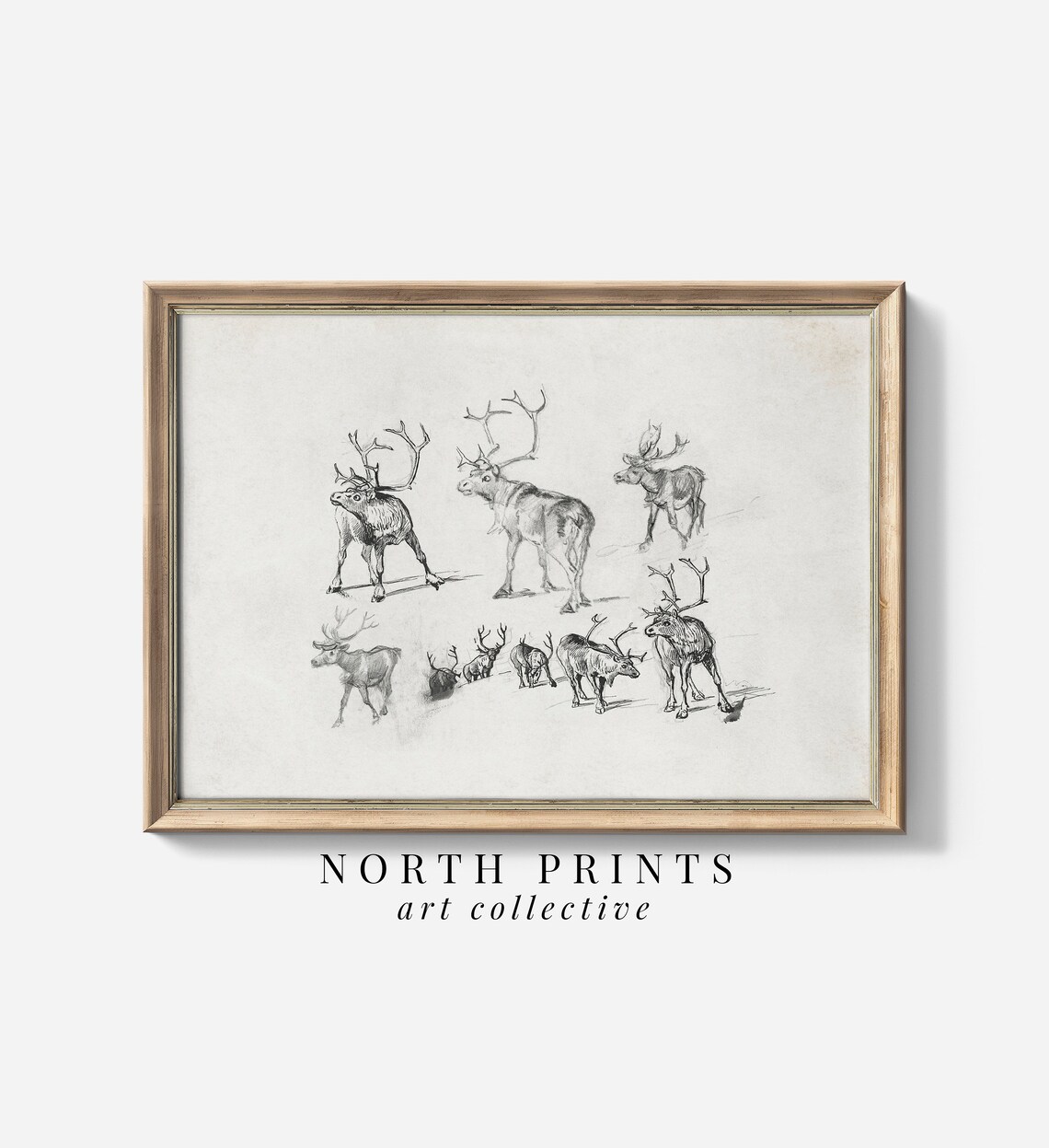 Vintage Christmas Reindeer Sketch Art Print