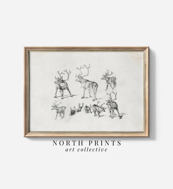 Vintage Christmas Reindeer Sketch Art Print