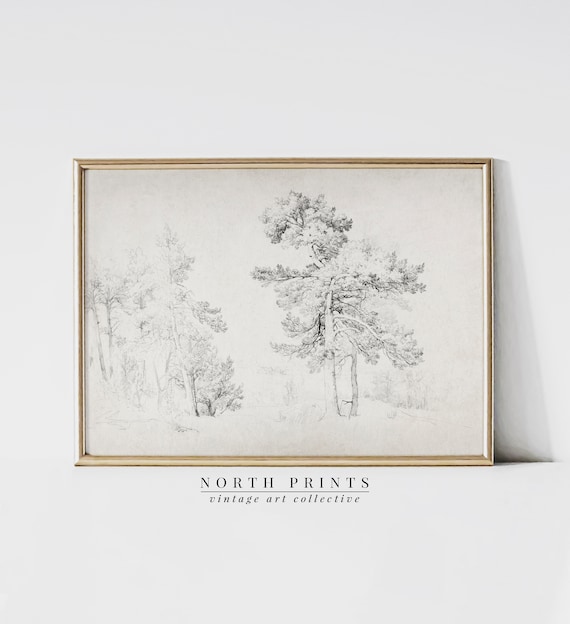 Antique Pine Tree Pencil Sketch Vintage Landscape Drawing Print