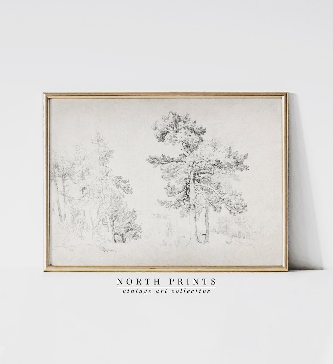 Antique Pine Tree Pencil Sketch Vintage Landscape Drawing Print