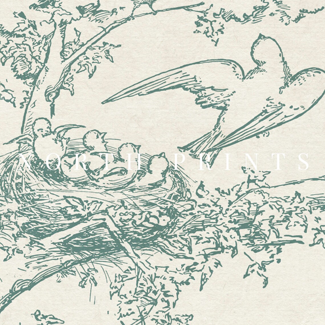 Vintage Nursery Bird Sketch Art Print, Farmhouse Decor - Image 3