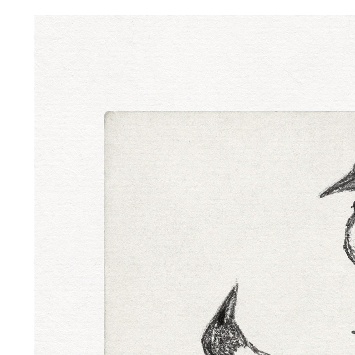 Three Perched Birds Minimalist Black White Vintage Sketch Wall Art - Image 4