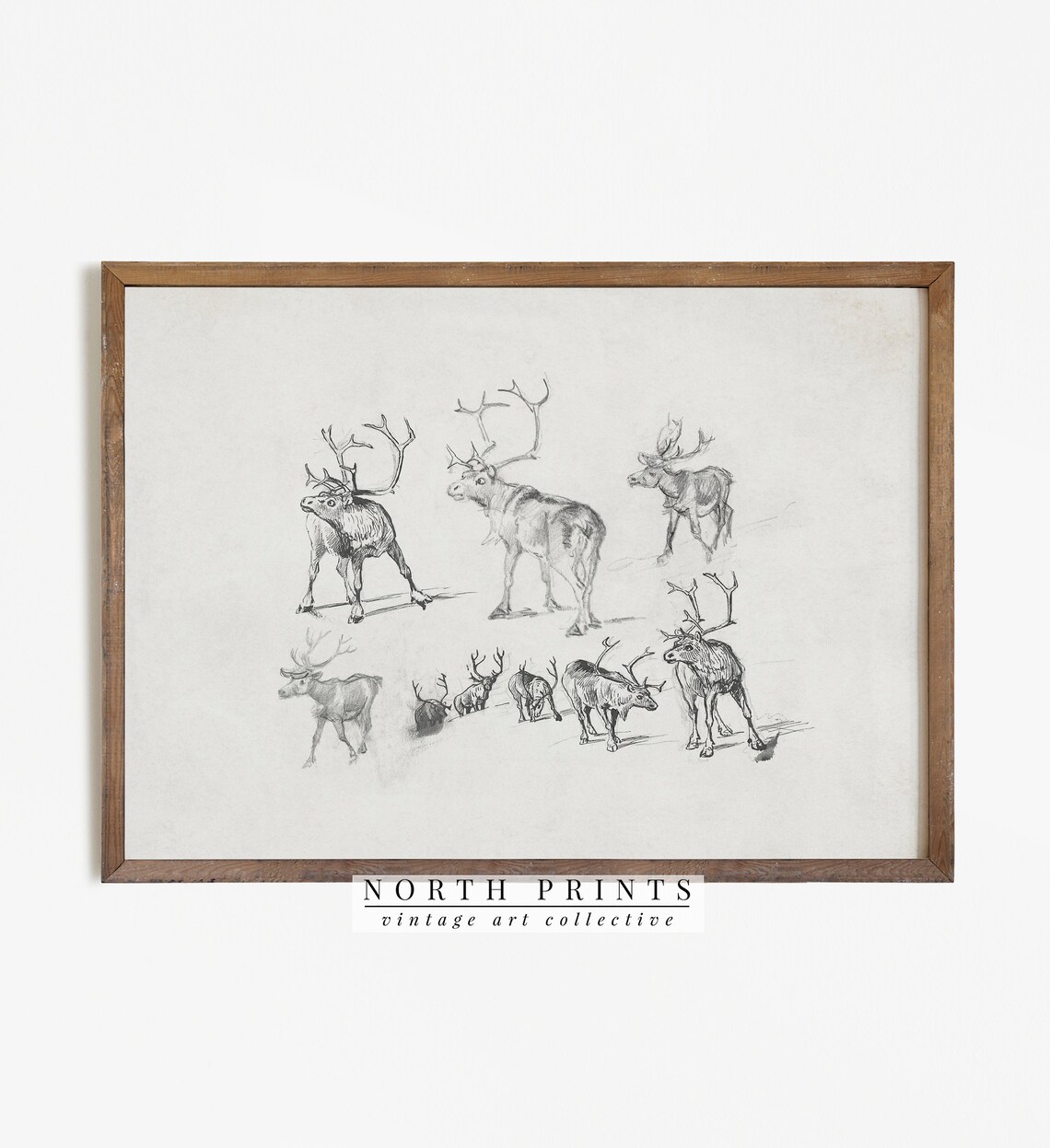 Vintage Christmas Reindeer Sketch Art Print - Image 2
