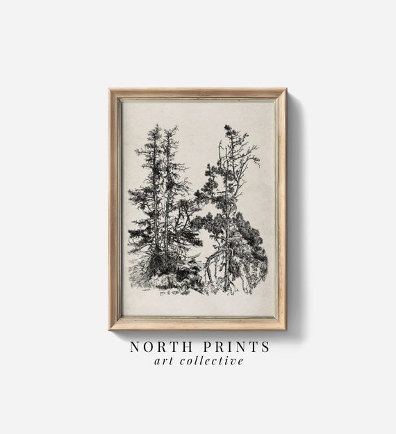 Rustic Pine Tree Sketch Art Vintage Modern Farmhouse Decor Print North Prints Sk 324
