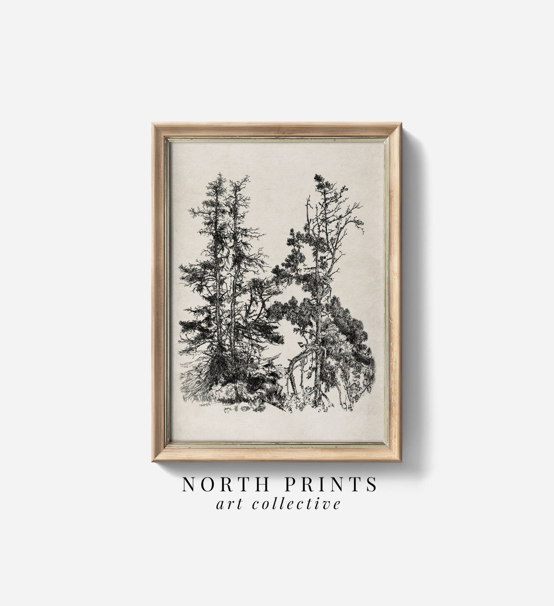 Rustic Pine Tree Sketch Art Vintage Modern Farmhouse Decor Print North Prints Sk 324