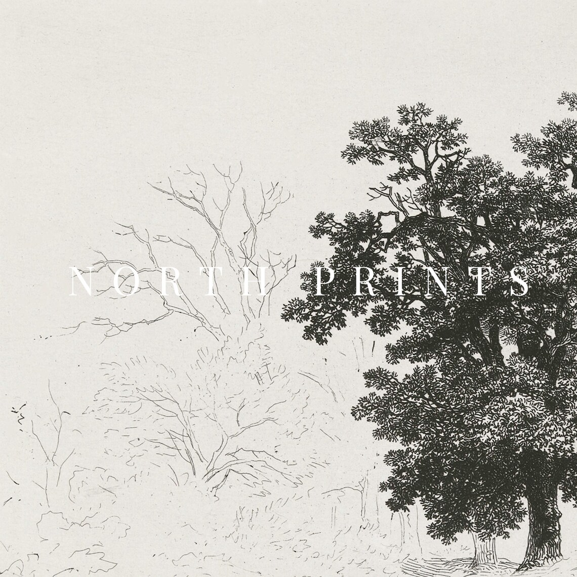 Antique Neutral Tree Sketch Vintage Nature Art Print - Image 3