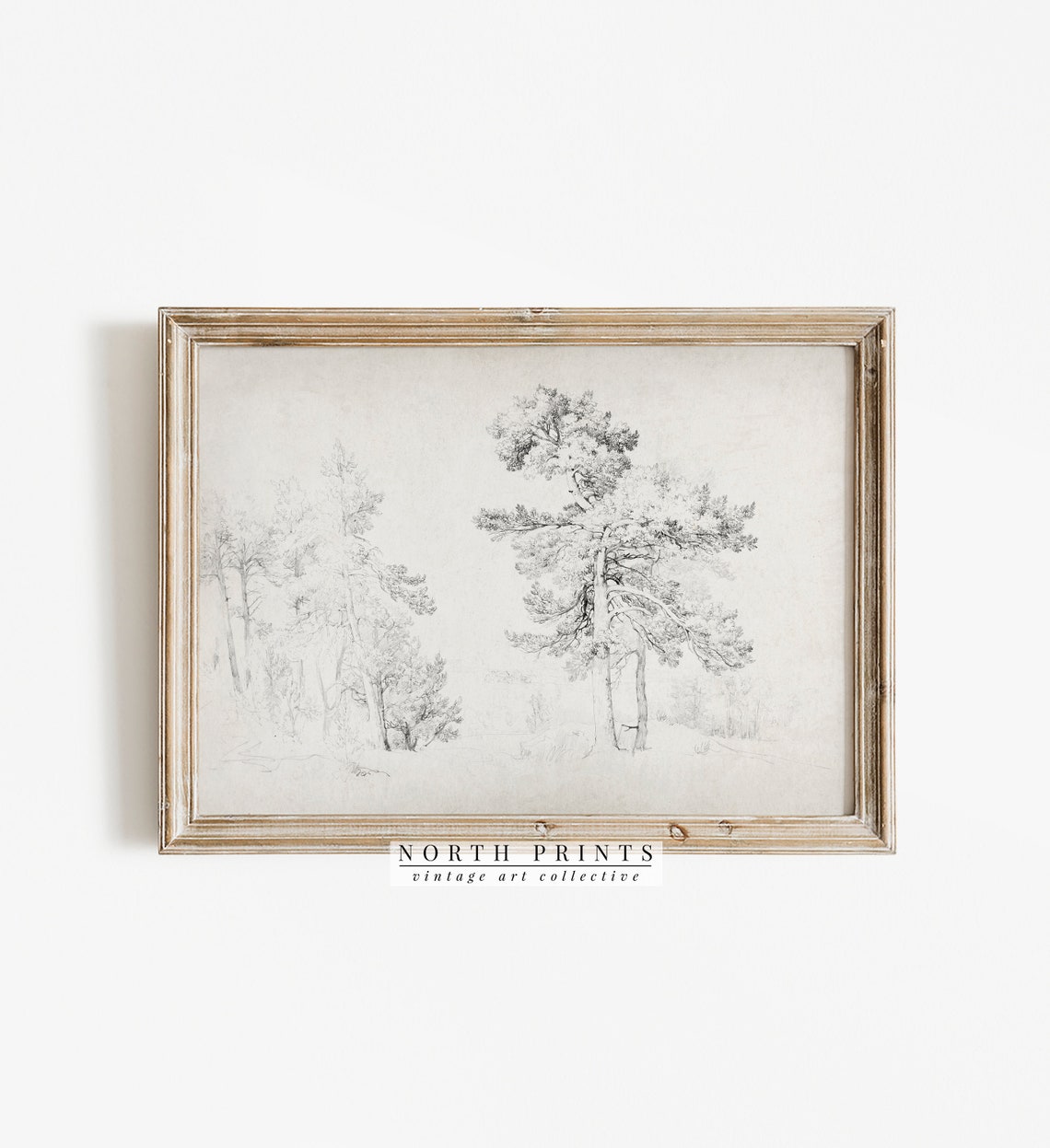 Antique Pine Tree Pencil Sketch Vintage Landscape Drawing Print - Image 4