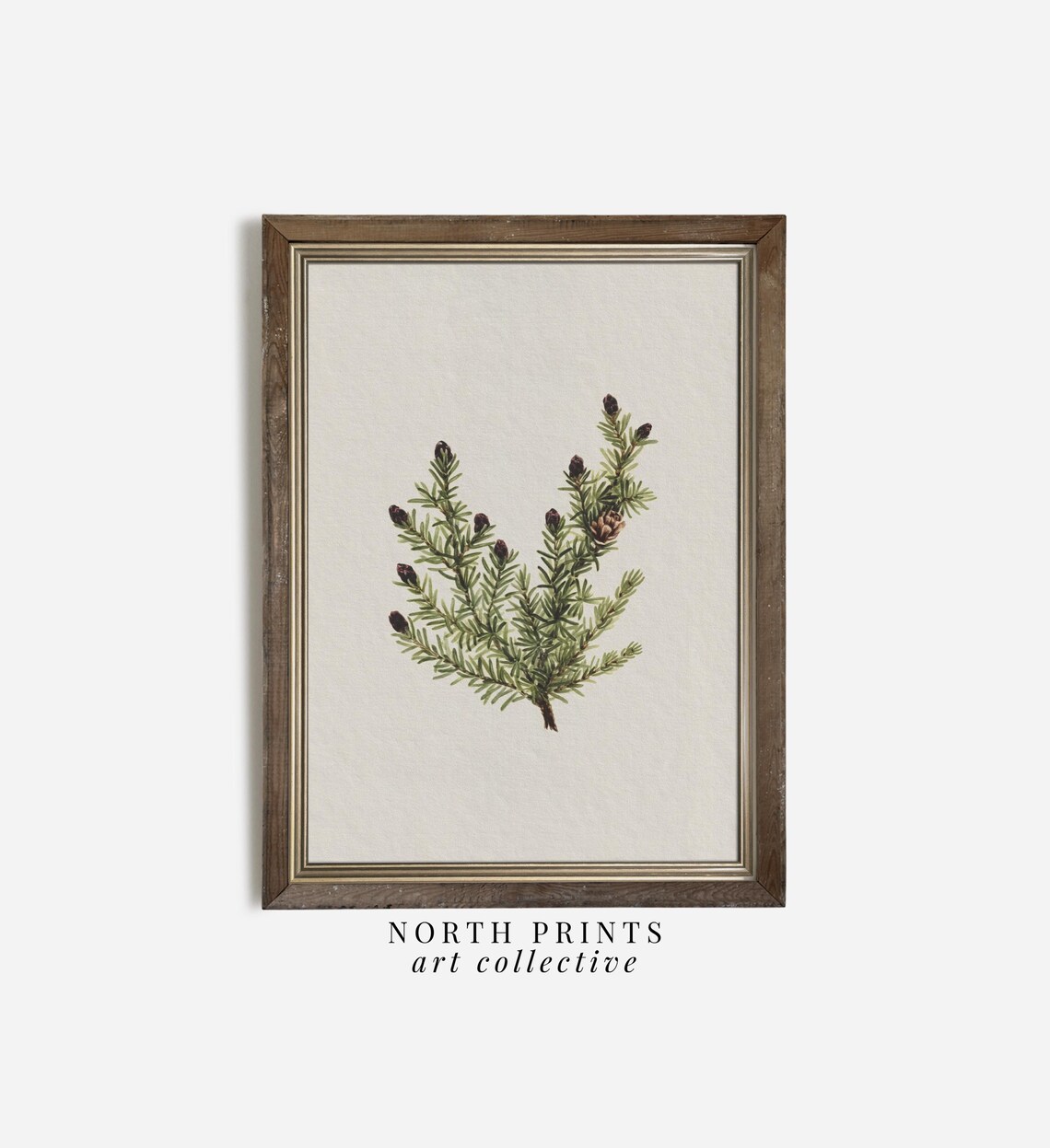 Winter Spruce Branch Rustic Neutral Holiday Art Print