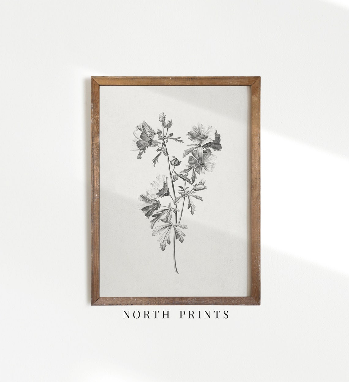 Vintage Grayscale Mallow Flower Sketch Botanical Study Art Print - Image 3