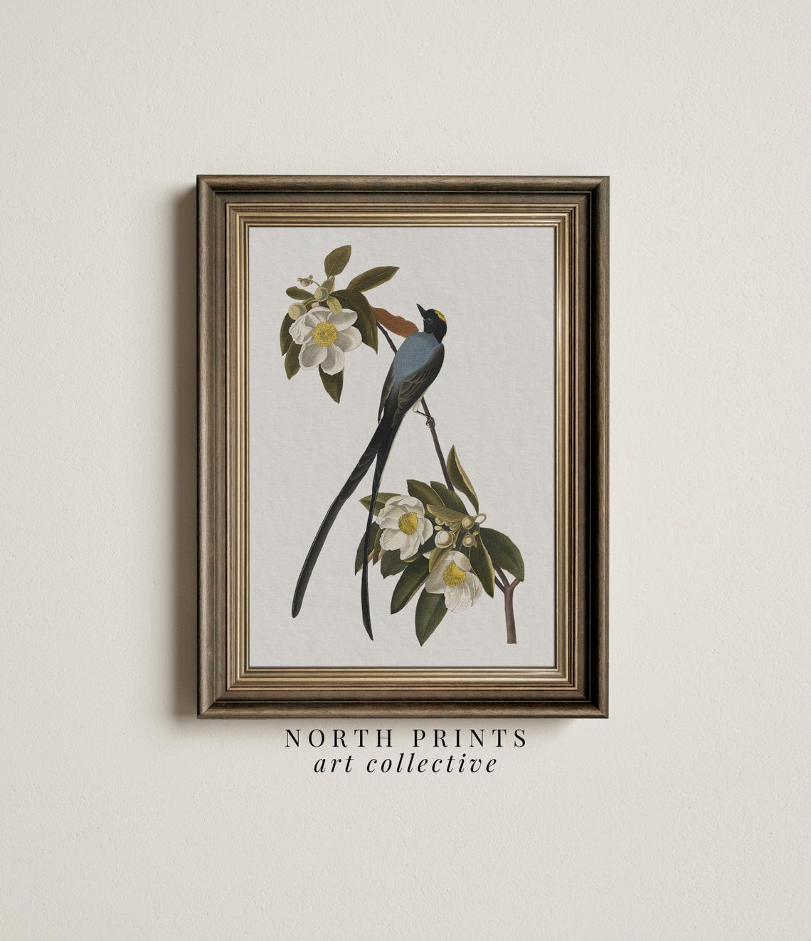 Vintage Swallow Bird Illustration Floral Branch Perch Art Poster