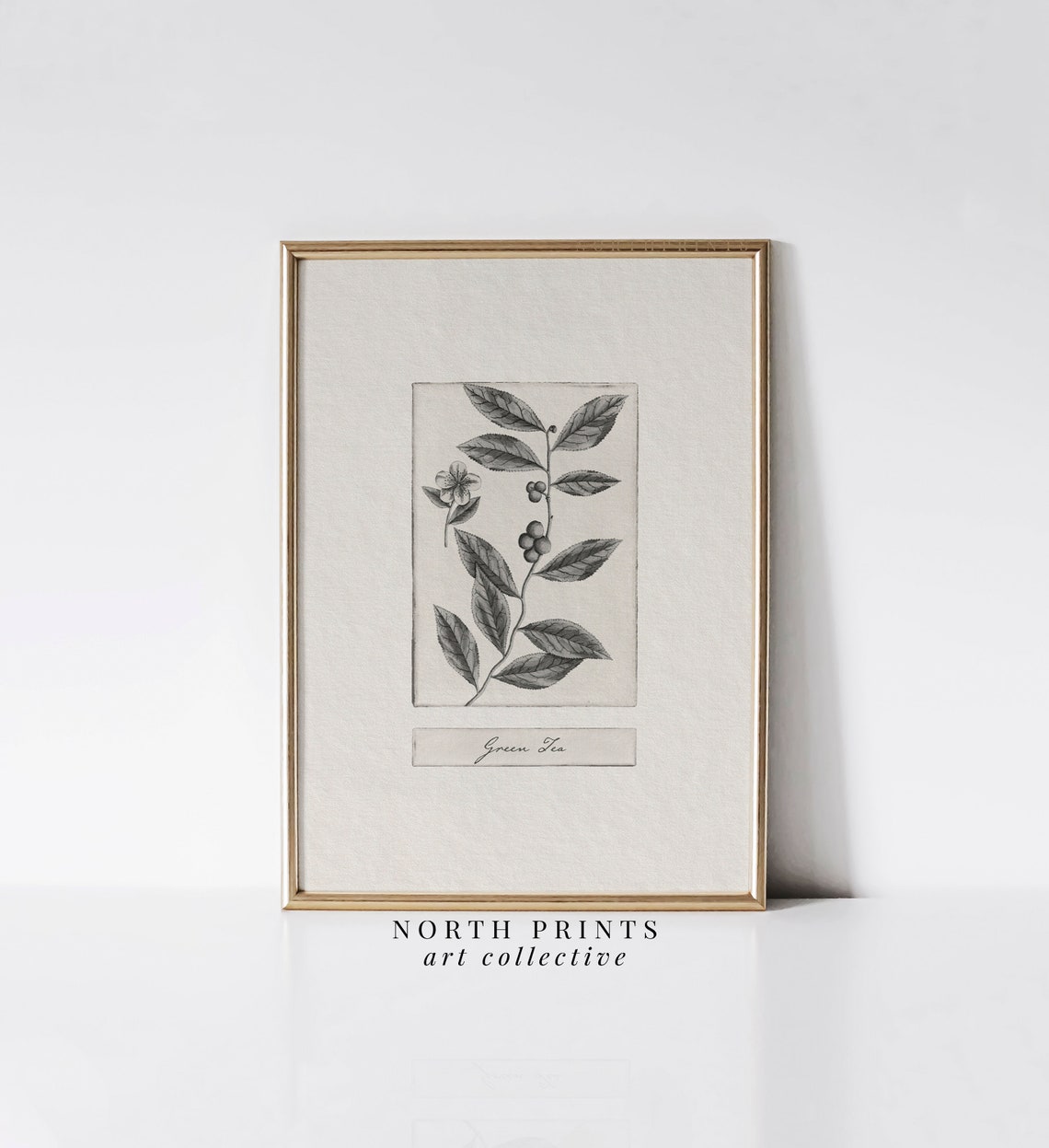 Vintage Green Tea Leaf Botanical Sketch Plant Kitchen Poster - Image 2