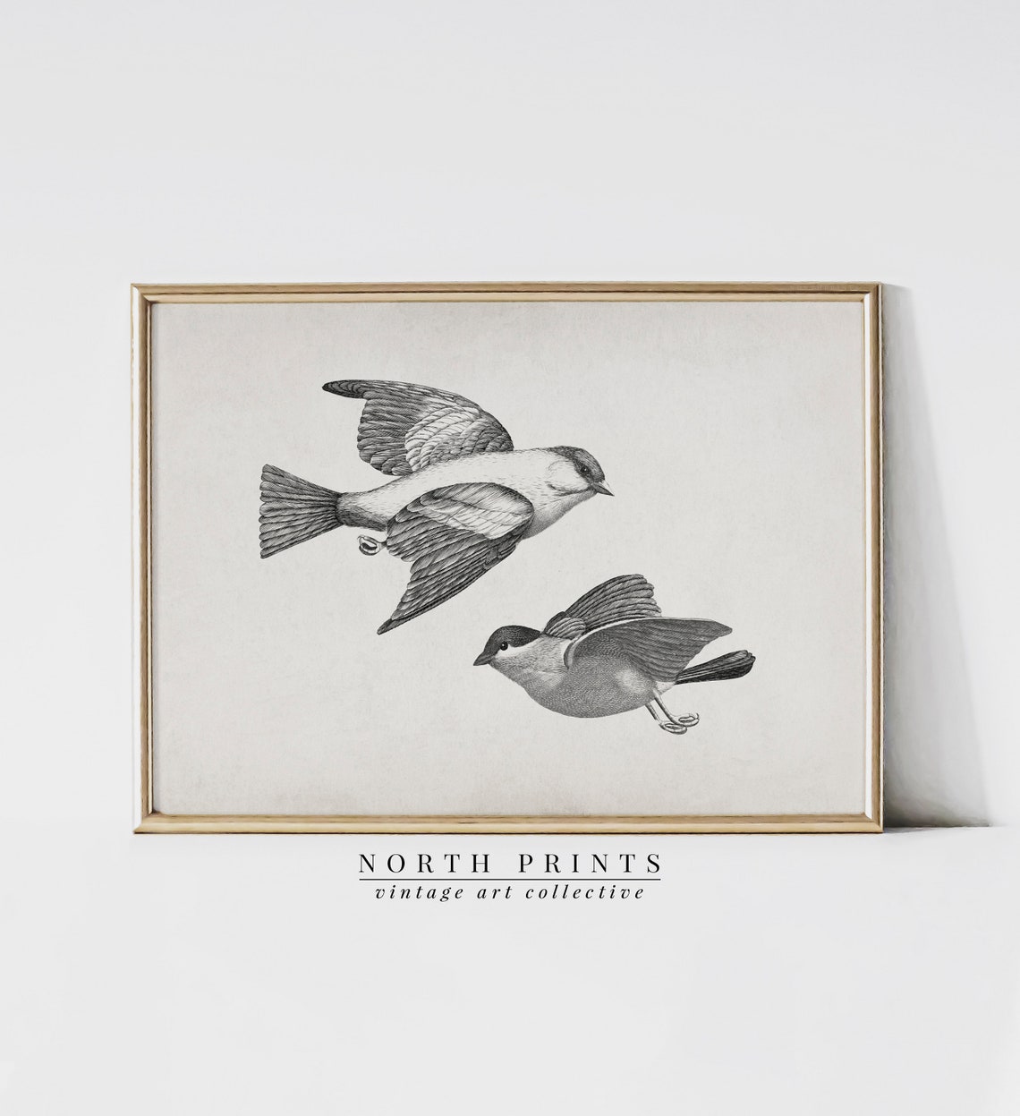 Antique Birds In Flight Engraving Vintage Bird Illustration Print