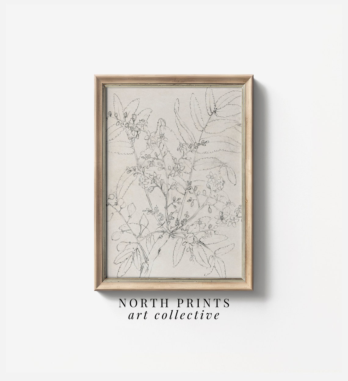 Neutral Vintage Botanical Sketch Leafy Stems Wildflowers Poster