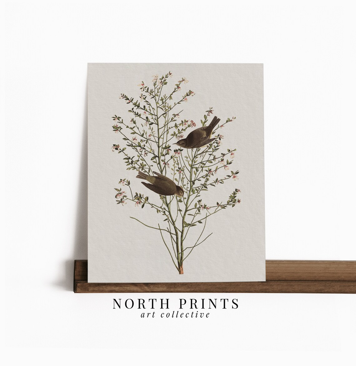 Vintage Songbird Pair Floral Branch Farmhouse Cottage Art Poster - Image 4