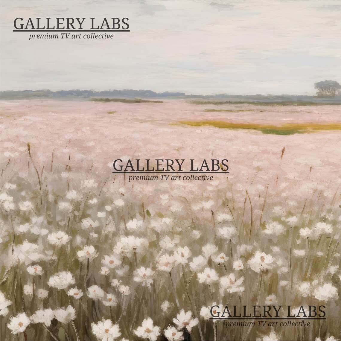 White Daisy Field Stretching Into Blush Pink Distance Gentle Panoramic Painting Poster - Image 4