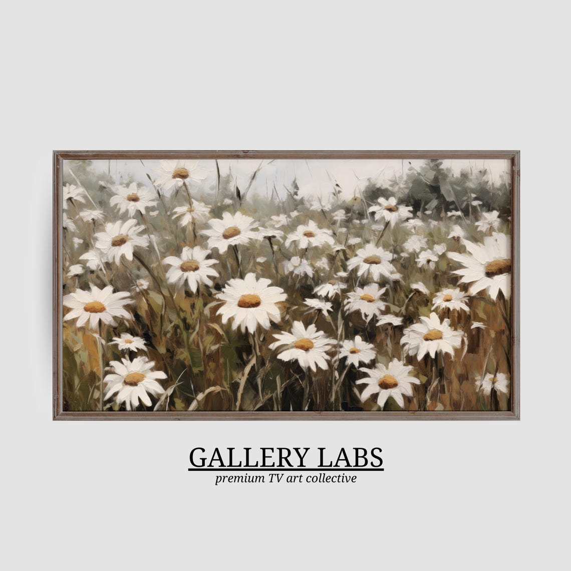 White Daisy Flower Field Vintage Botanical Framed TV Art Print - Image 3