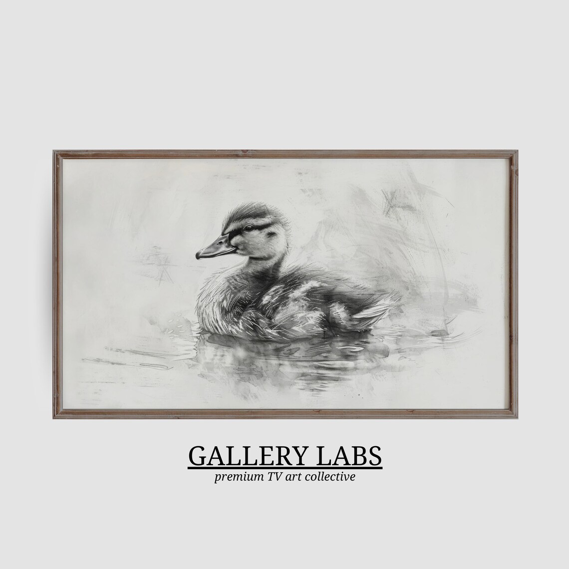 Vintage Duckling Pencil Sketch Monochrome Water Bird Drawing Wall Art Poster - Image 3